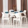 Стул DIAMANTE жесткое сидение / 1 шт. в упаковке бук, 42 х 42 х 85 см, ivory white белый