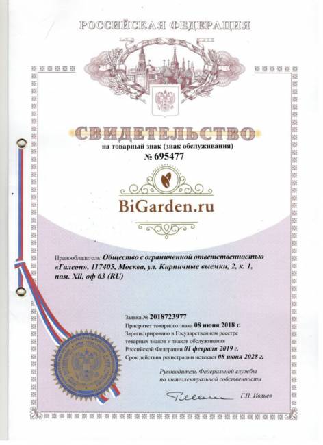 Кресло подвесное "Easy BS" красная подушка Кресло подвесное "Easy BS" красная подушка